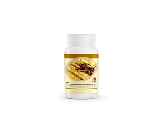 DXN Cordyceps Por